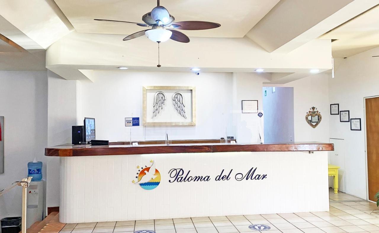 Paloma Del Mar (Adults Only) Hotel Puerto Vallarta Ngoại thất bức ảnh